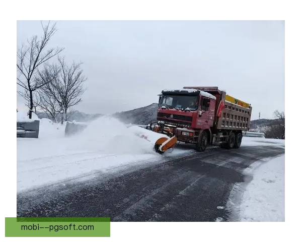长春亚泰主场遇极端降雪紧急启动除雪保障比赛安全